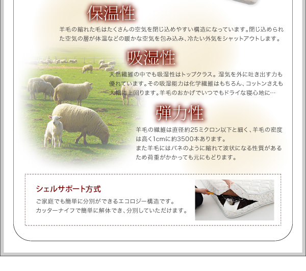 シェルサポート方式