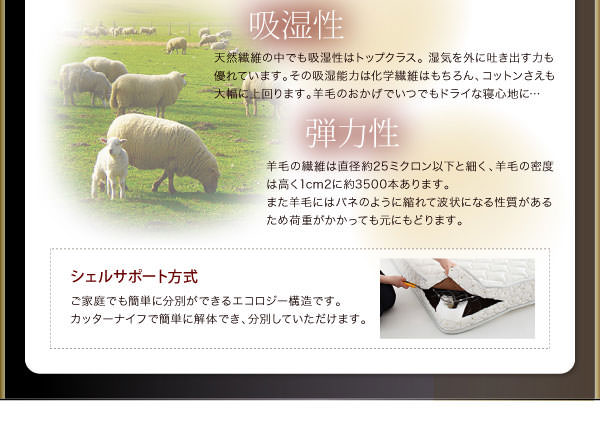 シェルサポート方式