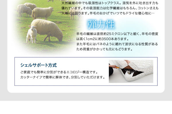 シェルサポート方式