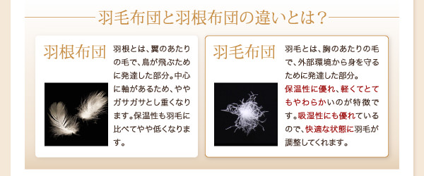 羽毛布団と羽根布団違い