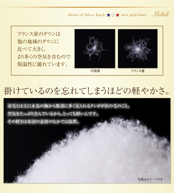 ニューゴールドラベル