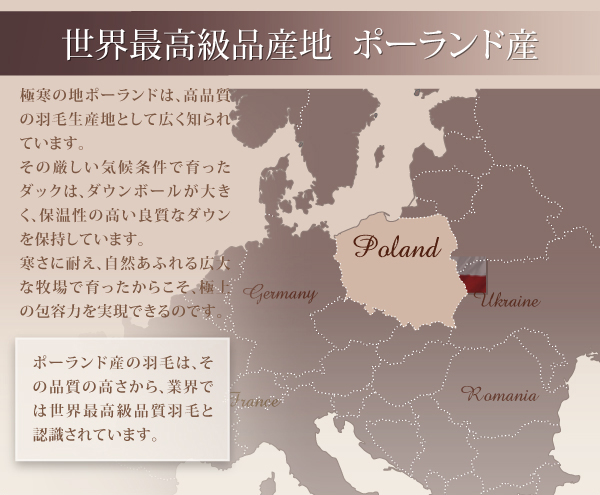 世界最高級品ポーランド産