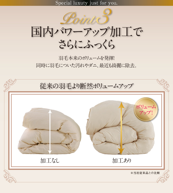 国内パワーアップ加工