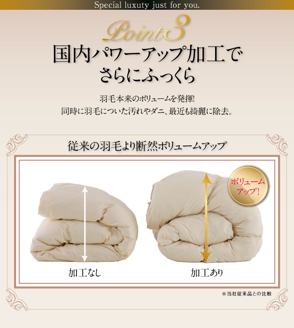 国内パワーアップ加工