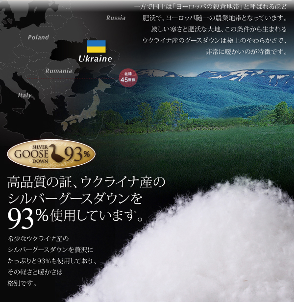 高品質のウクライナ産シルバーグースダウン