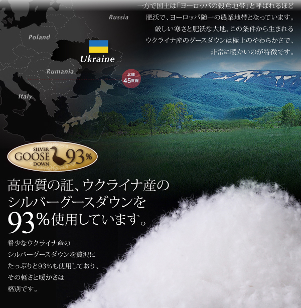 ウクライナ産のシルバーグースダウン