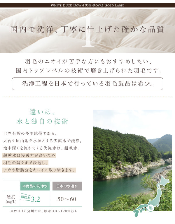 国内洗浄