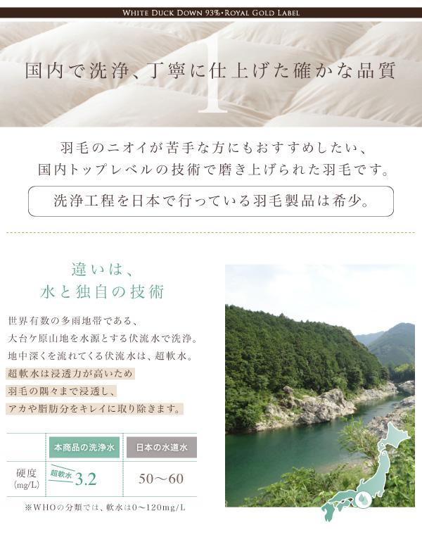 国内洗浄で丁寧に仕上げました。