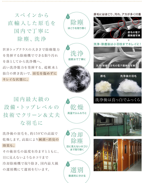 スペインから直輸入