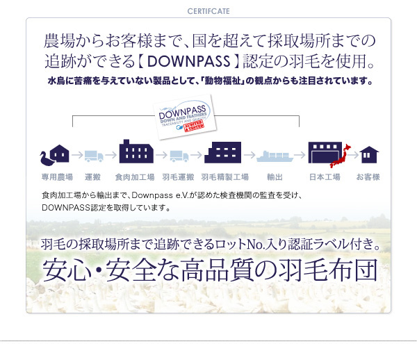 DOWNPASS認証