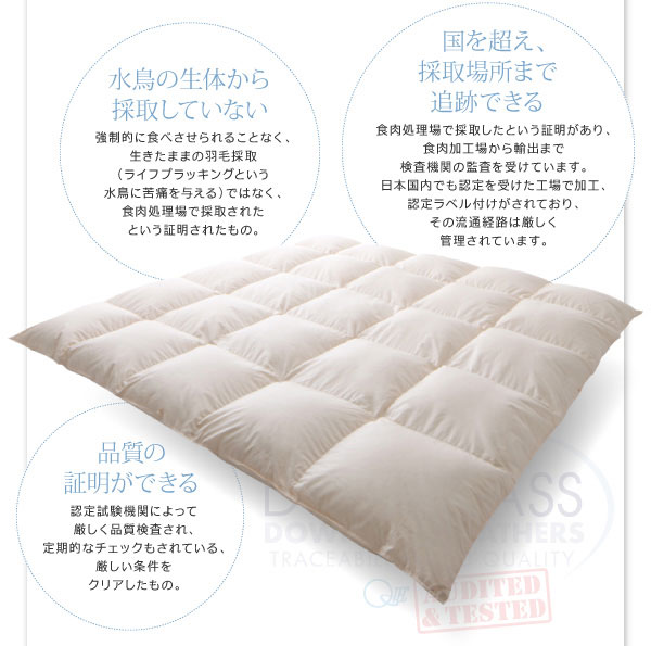 DOWNPASSについて