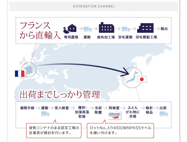 フランスから直輸入