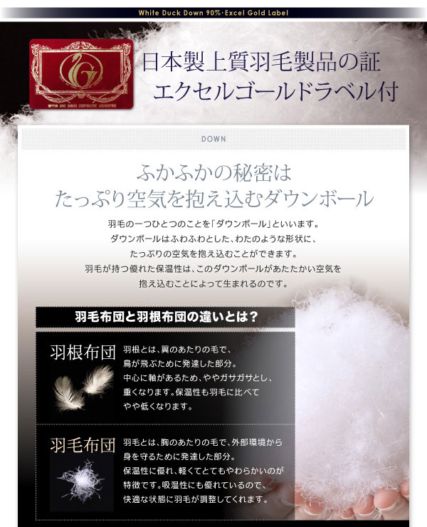 エクセルゴールドラベル付き