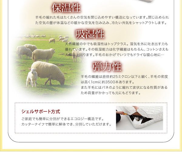 シェルサポート方式