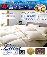 日本製 フランス産ダックダウン90％ 洗える羽毛布団8点セット【Lucia】ルチア