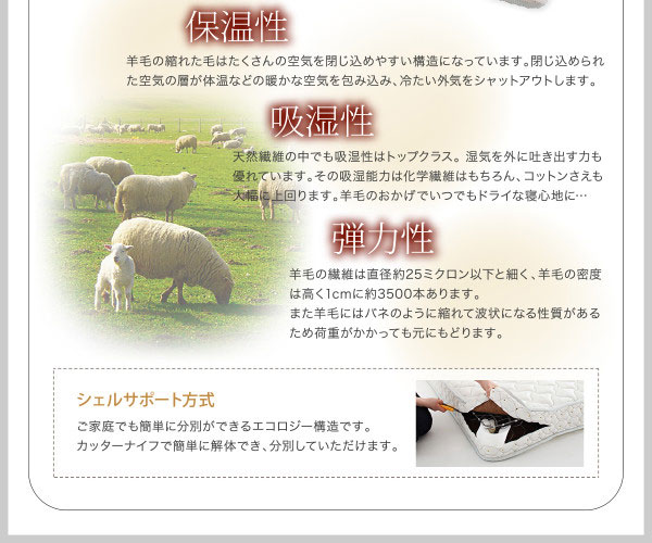 シェルサポート方式