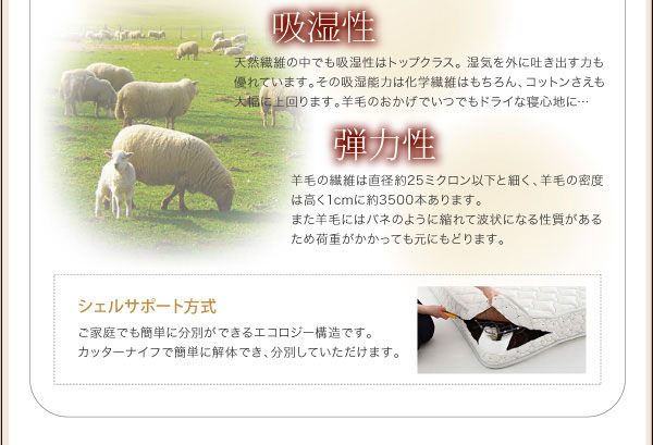 シェルサポート方式