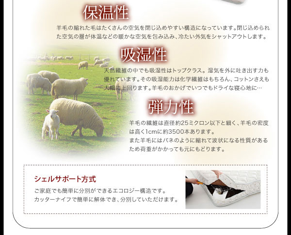 シェルサポート方式