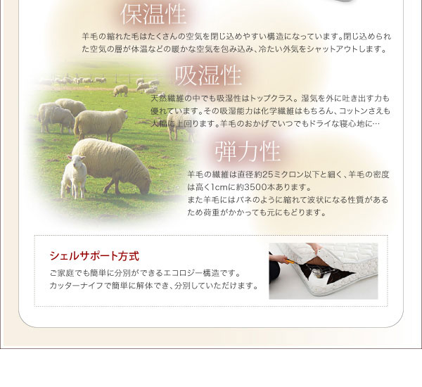 シェルサポート方式