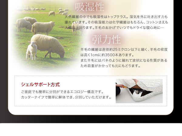 シェルサポート方式
