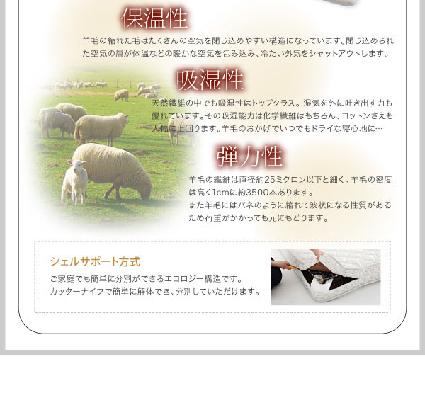 3つの特徴