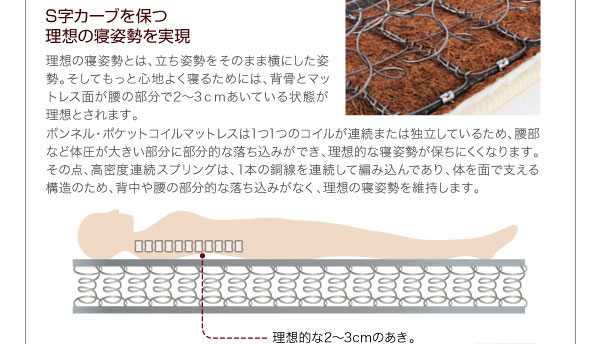 S字カーブの理想の寝姿勢