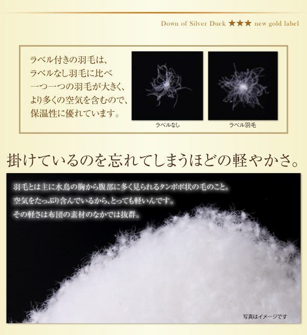 掛けているのを忘れてしまうほどの軽やかさ