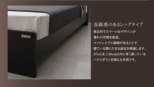 高級感あるレッグタイプ
