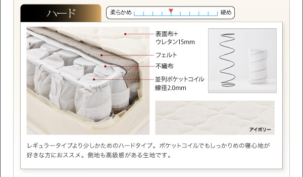 ハードタイプ