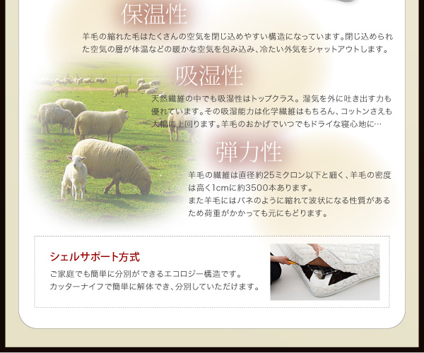 シェルサポート方式