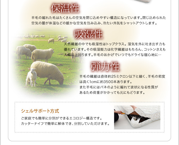 シェルサポート方式