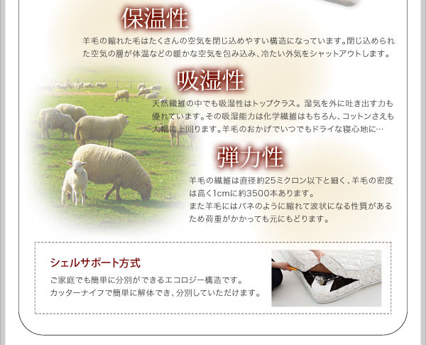 シェルサポート方式