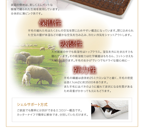 シェルサポート方式