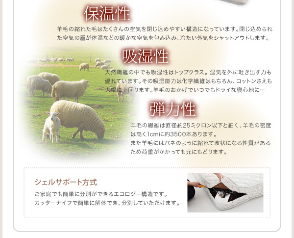 シェルサポート方式