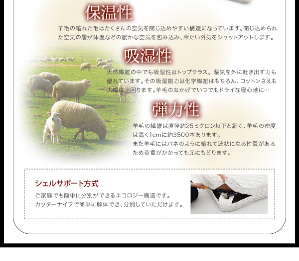 シェルサポート方式
