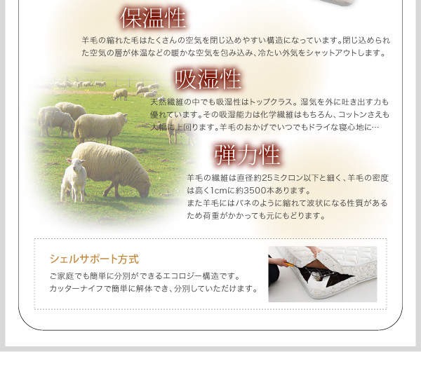 シェルサポート方式