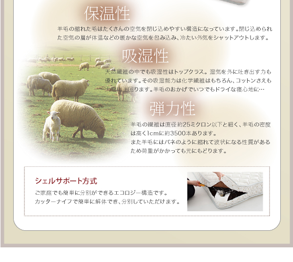 シェルサポート方式