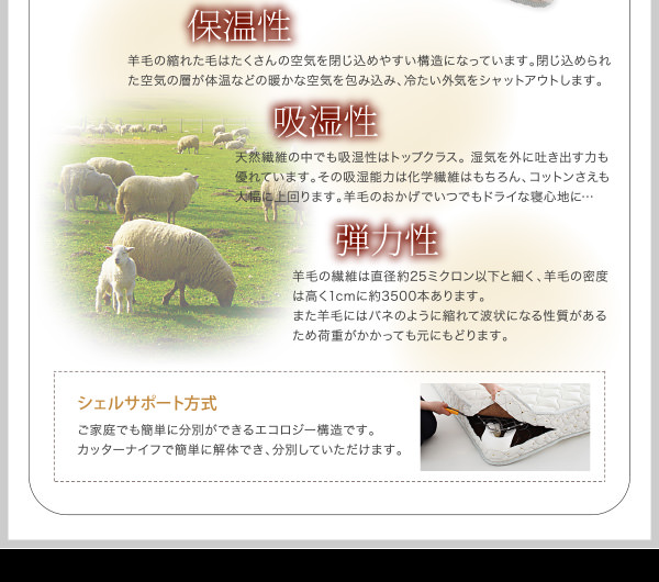 シェルサポート方式