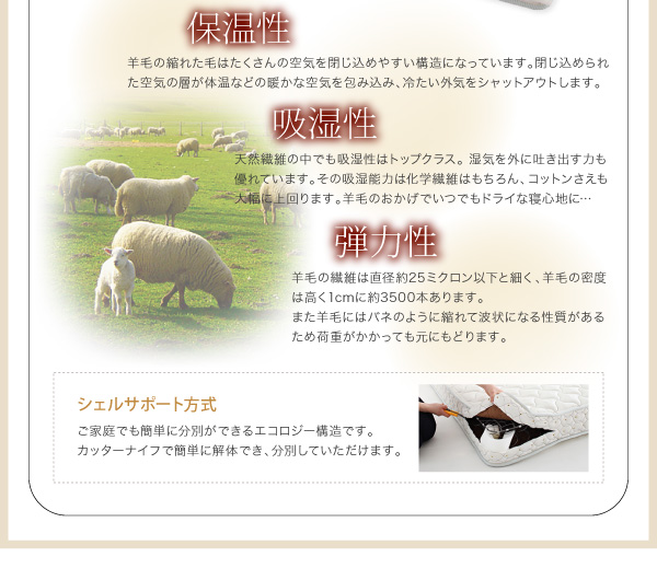 シェルサポート方式
