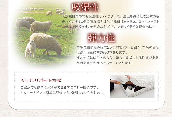 シェルサポート方式