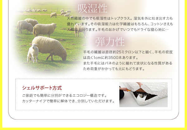 シェルサポート方式