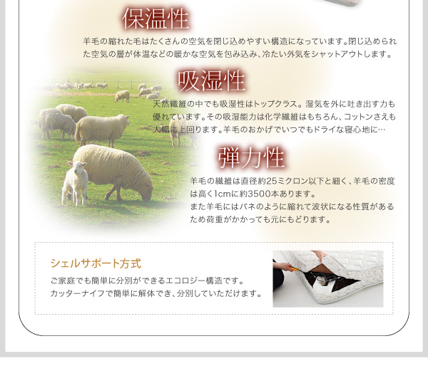 シェルサポート方式